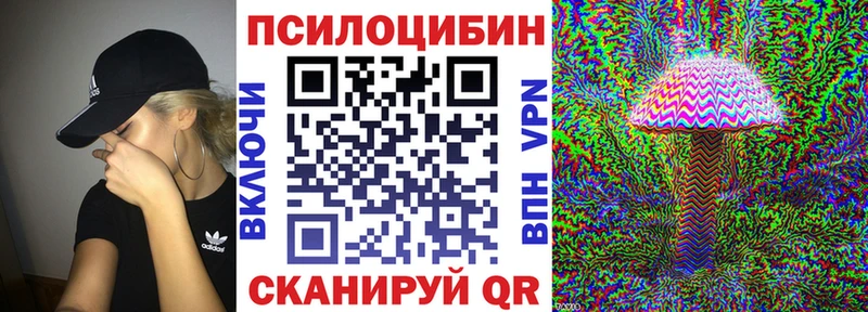 Псилоцибиновые грибы Cubensis  Можга 